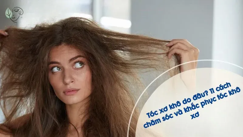 Tóc xơ khô do đâu? 11 cách chăm sóc và khắc phục tóc khô xơ