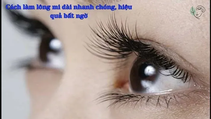 Cách làm lông mi dài nhanh chóng, hiệu quả bất ngờ