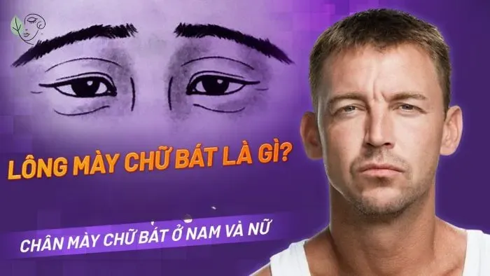 Chân mày chữ bát nam, nữ nói nên điều gì? Tốt hay xấu?