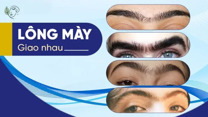 Chân mày giao nhau ở nam và nữ là tốt hay xấu?