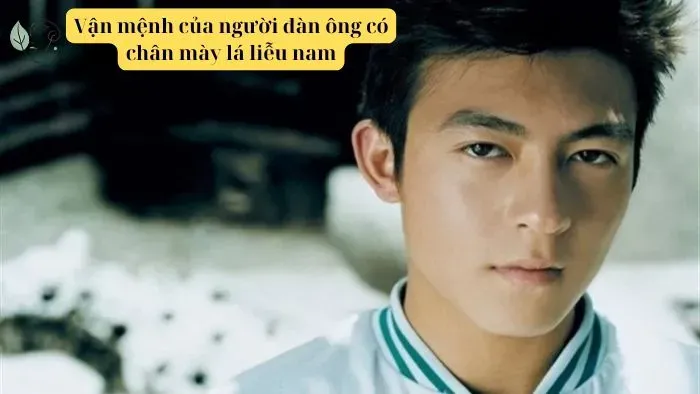 Vận mệnh của người đàn ông có chân mày lá liễu nam