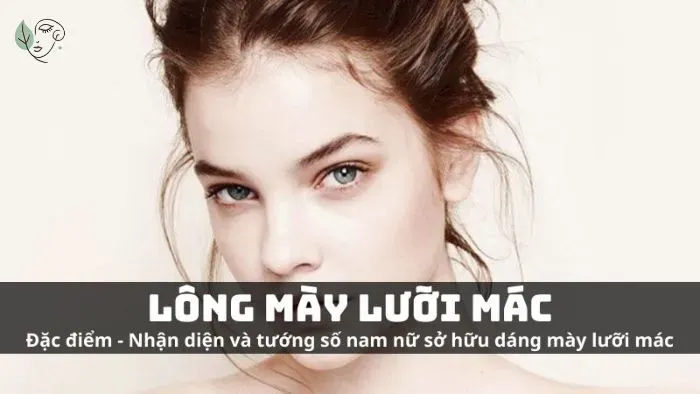 Chân mày lưỡi mác là gì? Ý nghĩa của chân mày lưỡi mác