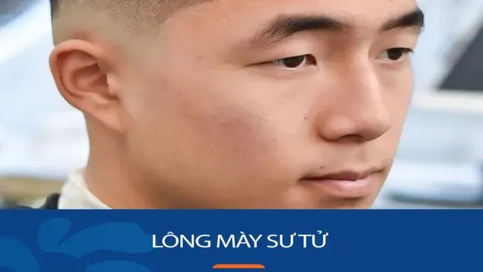 Chân mày sư tử là đẹp hay xấu?