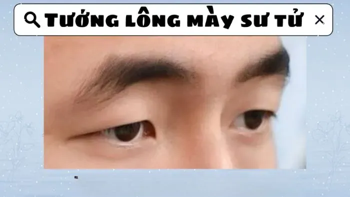 Xem tướng chân mày sư tử cần chú ý các đặc điểm gì?