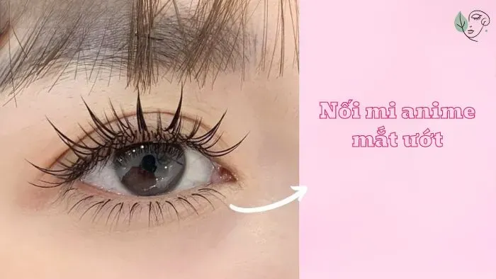 Nối mi anime mắt ướt là gì? Ưu điểm của nối mi mắt ướt
