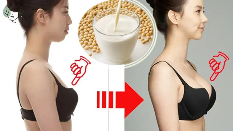 Uống bột đậu nành có tăng vòng 1 không?