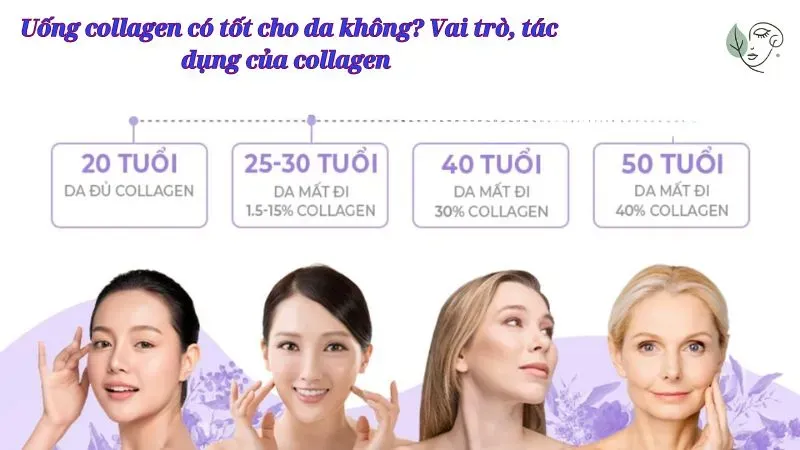 Uống collagen có tốt cho da không? Vai trò, tác dụng của collagen