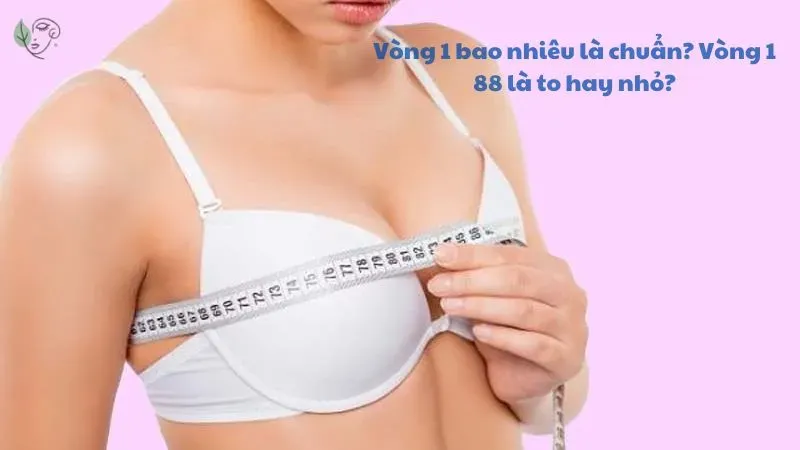VÒNG 1 76 CM THƯỜNG ĐƯỢC XEM LÀ Ở MỨC TRUNG BÌNH ĐỐI VỚI PHỤ NỮ VIỆT NAM