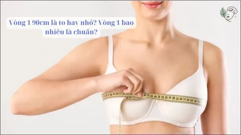Vòng 1 90cm là to hay nhỏ? Vòng 1 bao nhiêu là chuẩn?