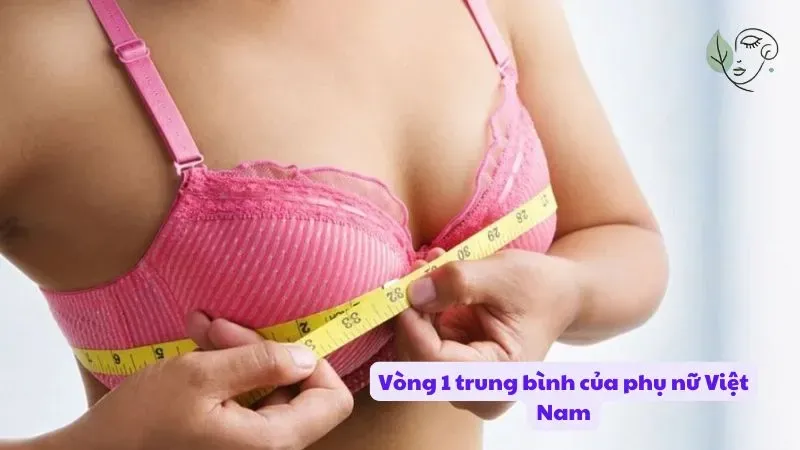 Vòng 1 trung bình của phụ nữ Việt Nam