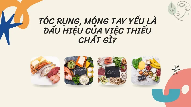 Tóc rụng, móng tay yếu thiếu chất gì? Cách bổ sung hiệu quả