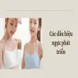 Nhận biết sớm dấu hiệu ngực phát triển ở thiếu nữ