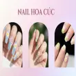 Các kiểu nail hoa cúc đơn giản mà vẫn cực sang trọng