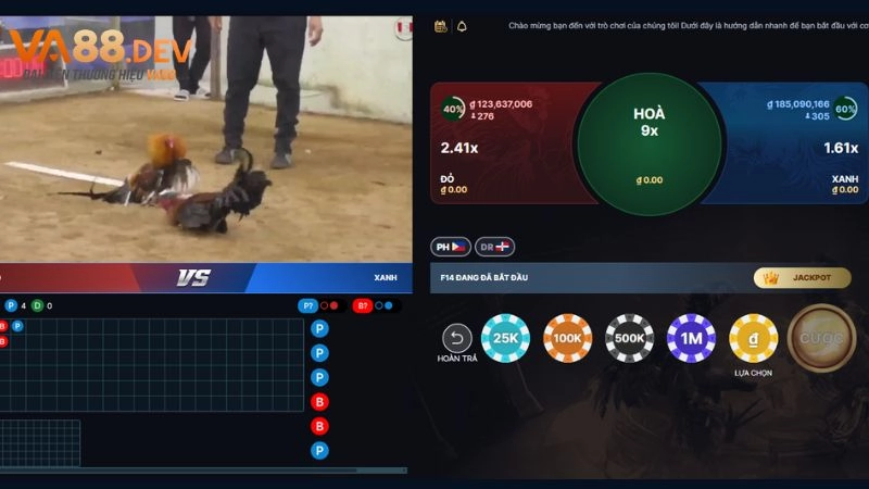 Các hình thức đặt cược trong đá gà online VA88