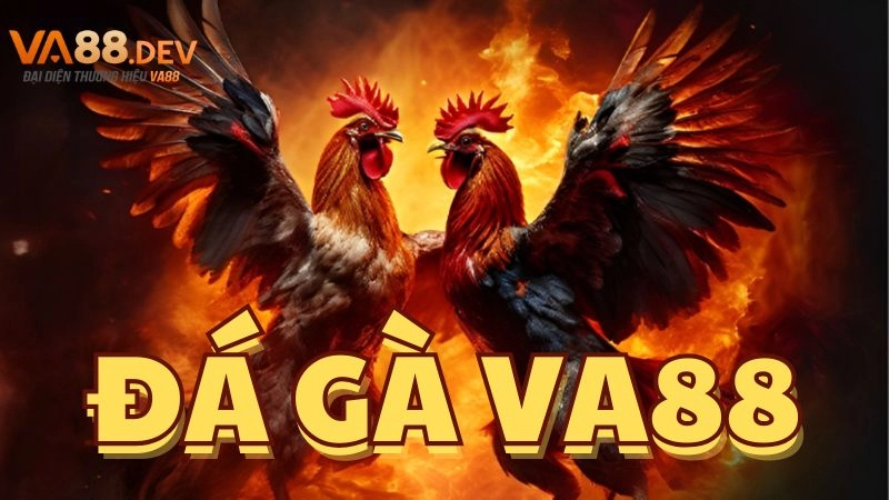 Điểm nổi bật của sảnh đá gà VA88