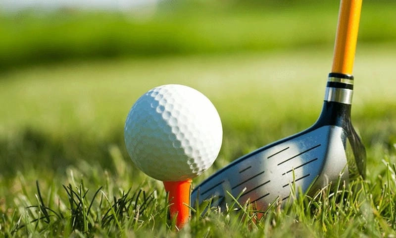 Lý do cá cược Golf tại OK9 đang tạo làn sóng mới