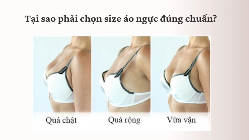 Tại sao phải chọn size áo ngực đúng chuẩn? 