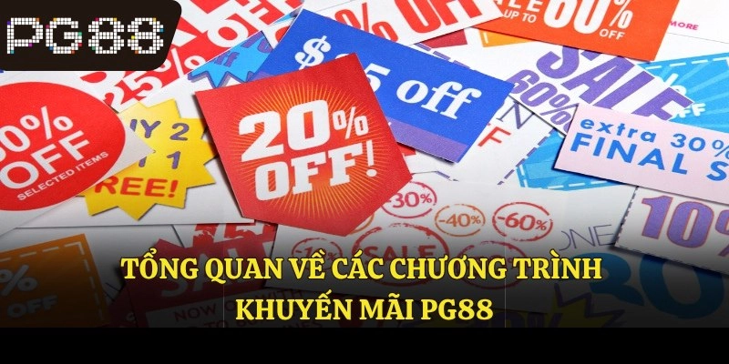  Đội ngũ CSKH PG88 hỗ trợ người chơi nhận khuyến mãi.