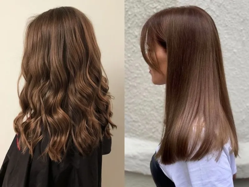 Tìm hiểu về sắc đẹp của màu nâu hạt dẻ là màu gì chuẩn nhất