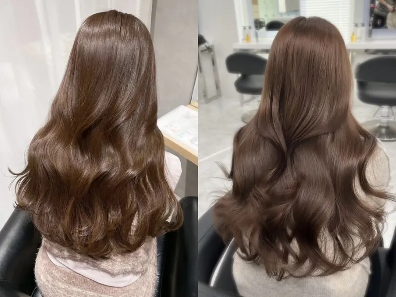 Ngắm nhìn vẻ đẹp qua hình ảnh màu nâu hạt dẻ cuốn hút