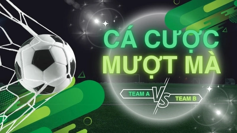  Ứng dụng Bongdalu trên di động, hỗ trợ theo dõi tỷ số và soi kèo mọi lúc, mọi nơi.