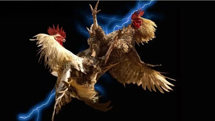 Trải nghiệm trận chiến nghẹt thở từng giây