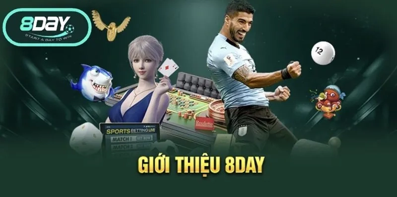 Trải nghiệm liền mạch tạo cảm xúc tích cực
