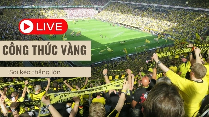  Tỷ số bóng đá trực tiếp trên Bongdalu, cập nhật nhanh chóng từ Premier League đến V-League.