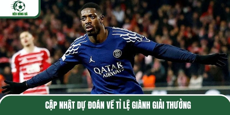 Cập nhật dự đoán về tỉ lệ giành giải thưởng