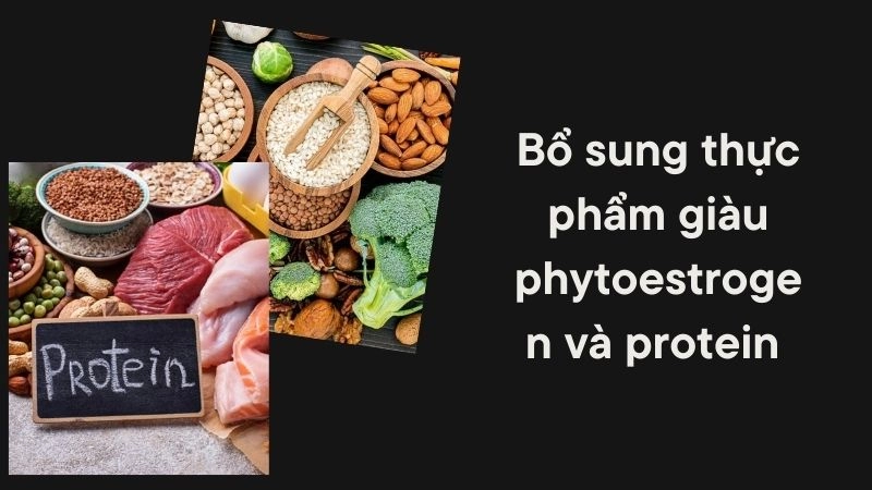 Bổ sung thực phẩm giàu phytoestrogen và protein mỗi ngày