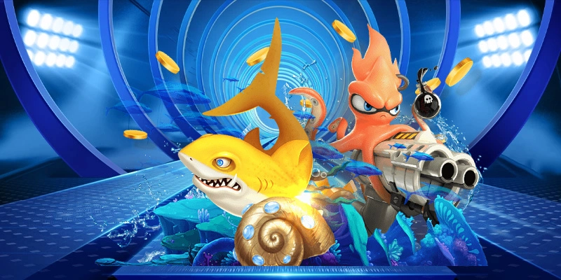 Cách quản lý xu để săn thưởng lớn