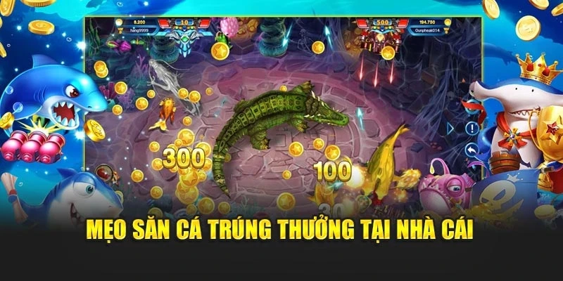 Mẹo săn cá trúng thưởng tại nhà cái