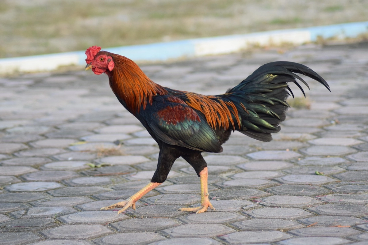 Hướng dẫn từng bước vào nghệ giúp hạn chế chấn thương