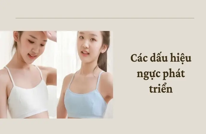 Nhận biết sớm dấu hiệu ngực phát triển ở thiếu nữ