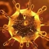 HIV/AIDS là gì? Hiểu rõ về căn bệnh thế kỷ và cách phòng tránh