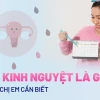 Kỳ Kinh Nguyệt Là Gì? Tổng Quan Kiến Thức Cần Biết