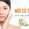 Mũi Củ Tỏi Là Gì? Tướng Số Giàu Sang Hay Khó Khăn