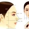Mũi Dọc Dừa: Đặc Điểm, Tướng Số Và Cách Cải Thiện Hiệu Quả