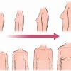 Ngực của con gái: Quá trình phát triển và cách chăm sóc hiệu quả