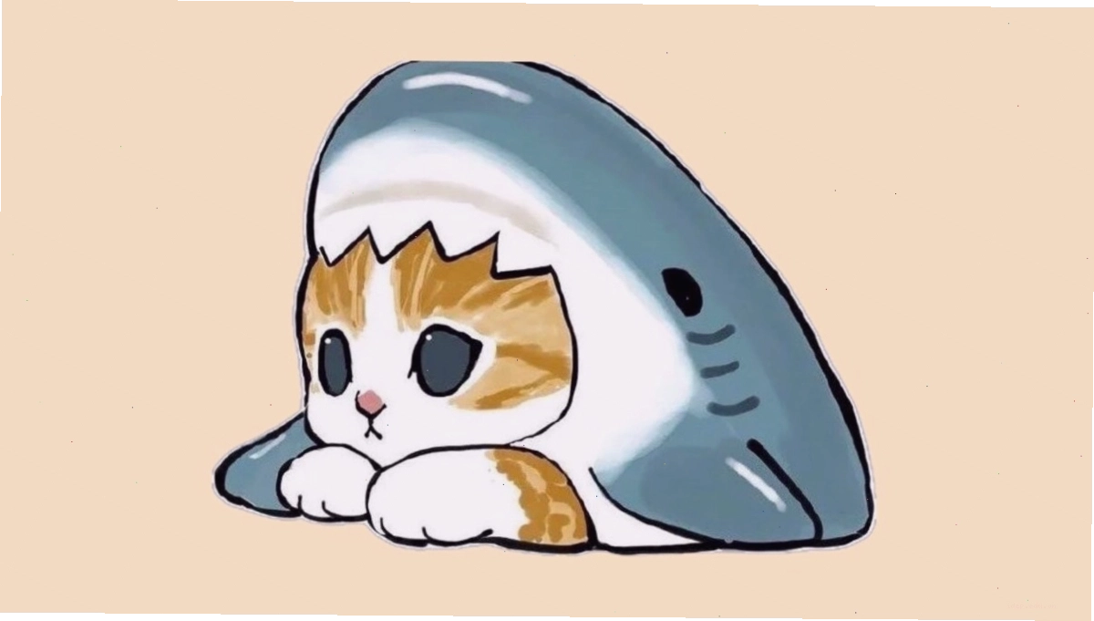 Avatar mèo Chibi mập ú với đôi mắt lim dim