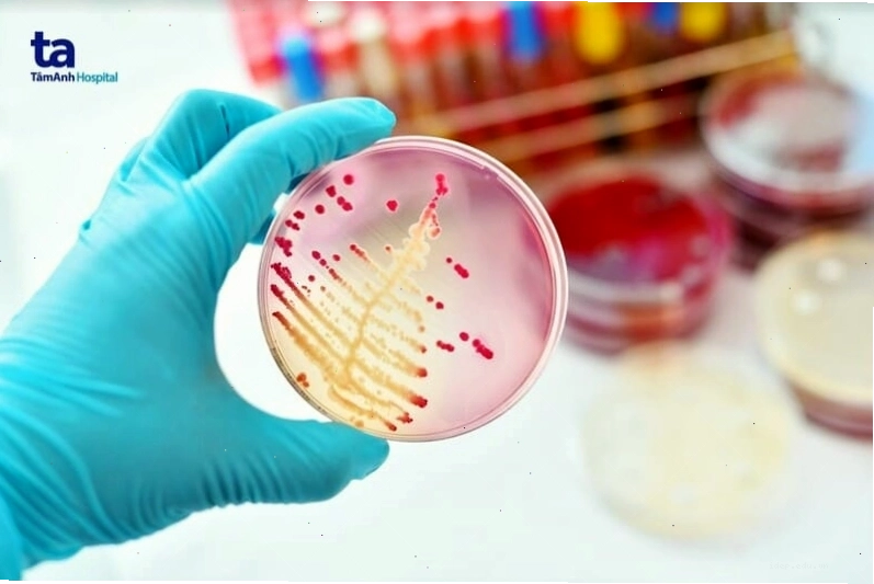 Bác sĩ đang khám mắt cho bệnh nhân