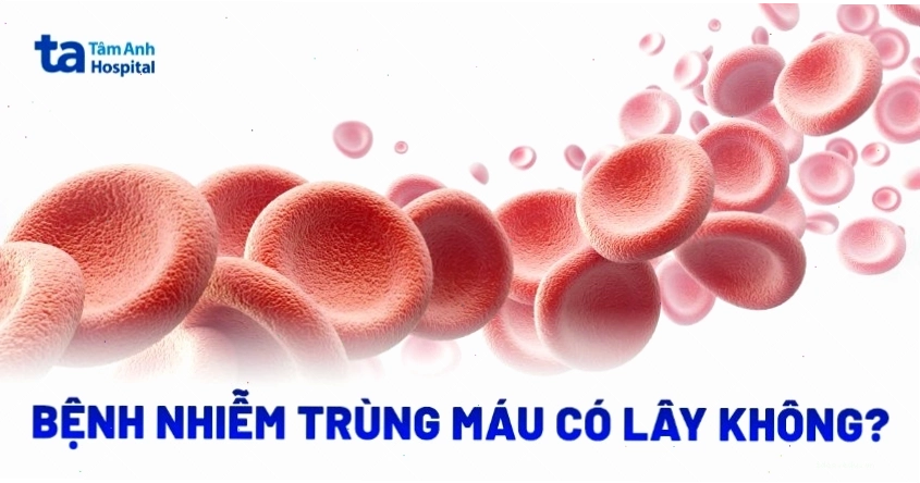 Bệnh nhiễm trùng máu có lây không? Cách điều trị và phòng ngừa