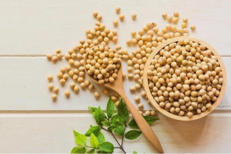 Bổ sung đậu nành là cách để ngực phát triển tự nhiên