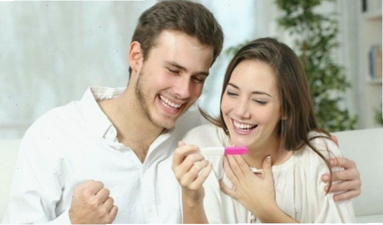 Bột hạt anh túc giúp hỗ trợ tiêu hóa và hấp thụ dinh dưỡng