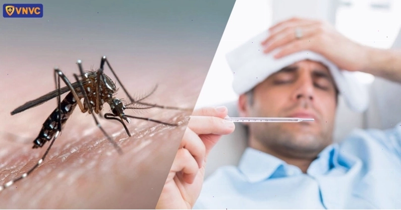 Các nguyên nhân làm tăng nguy cơ chảy máu mũi khi bị sốt xuất huyết