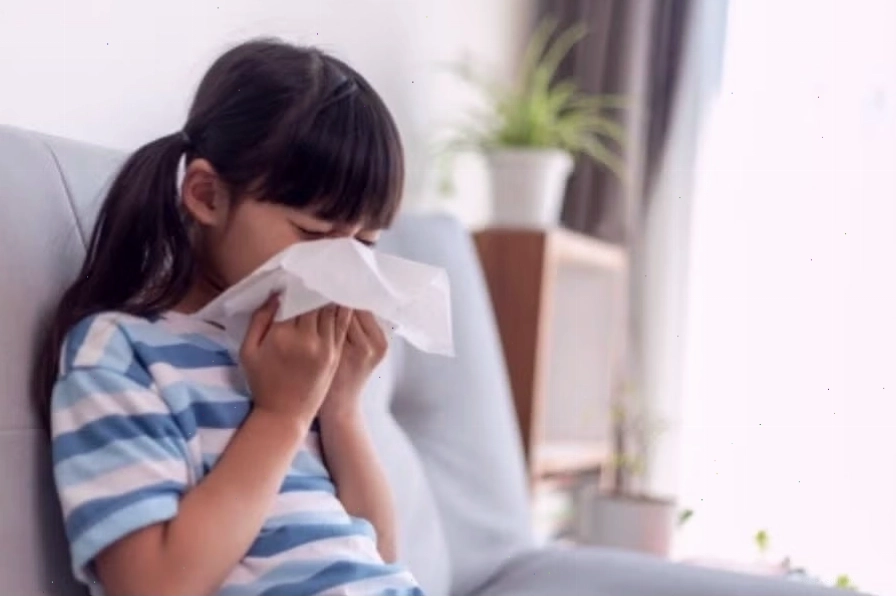Các triệu chứng viêm mũi dị ứng ở trẻ em thường gặp