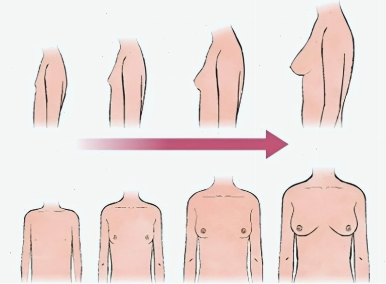 Chế độ dinh dưỡng và tập luyện ảnh hưởng đến sự phát triển ngực