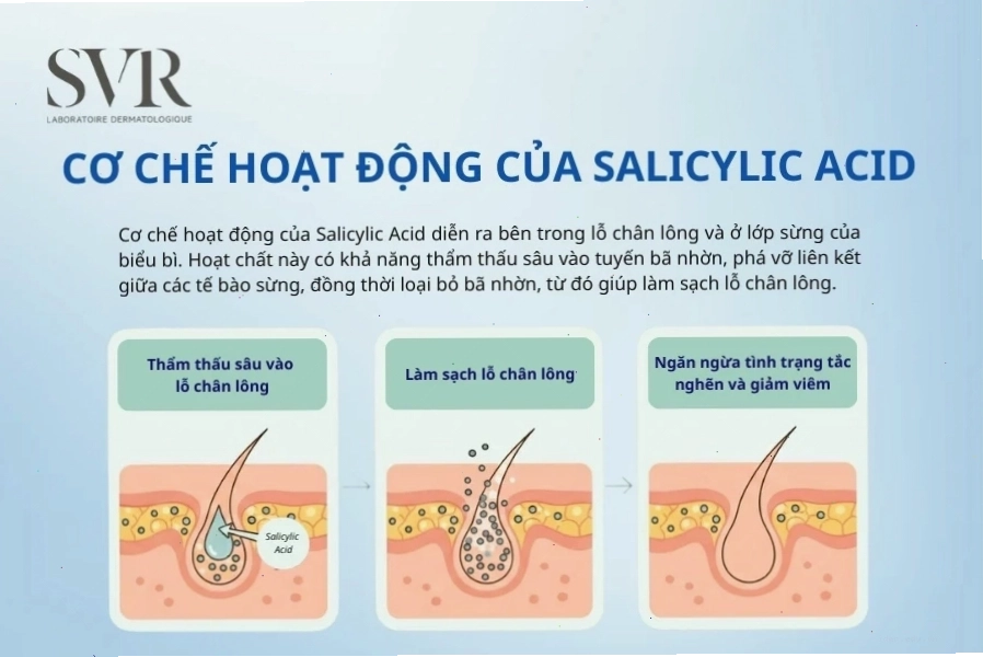 Cơ chế hoạt động của Salicylic Acid trong việc làm sạch lỗ chân lông