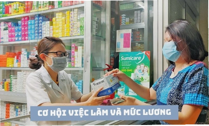 Dược sĩ làm công việc bán thuốc có cơ hội làm việc rộng mở và mức lương cao