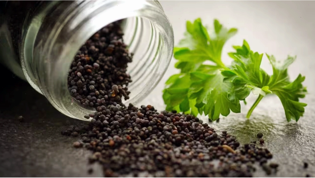Hạt poppy seed trong ẩm thực châu Âu